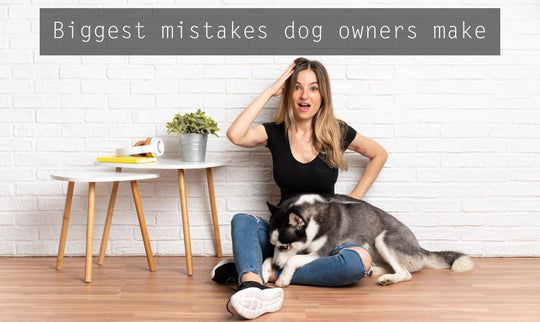 Biggest mistakes dog owners make