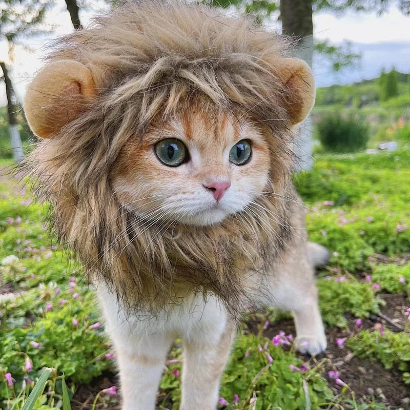 Cute Lion Cap