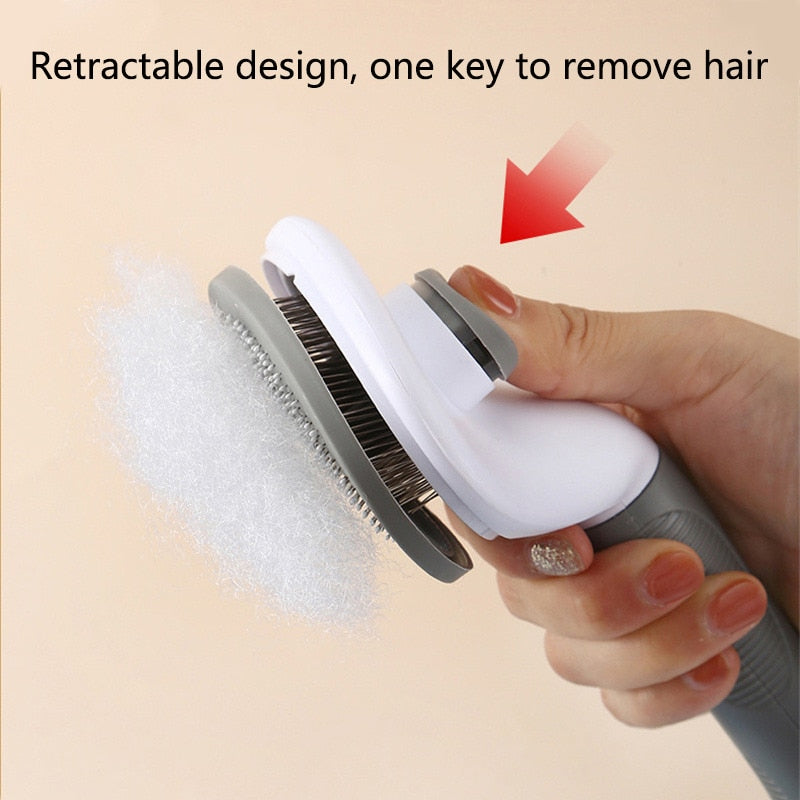 Hair Remover Brush