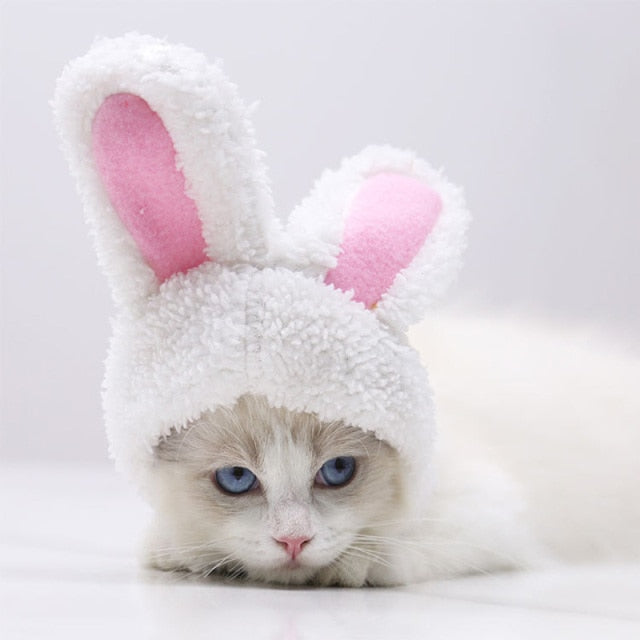 Bunny Pet Caps