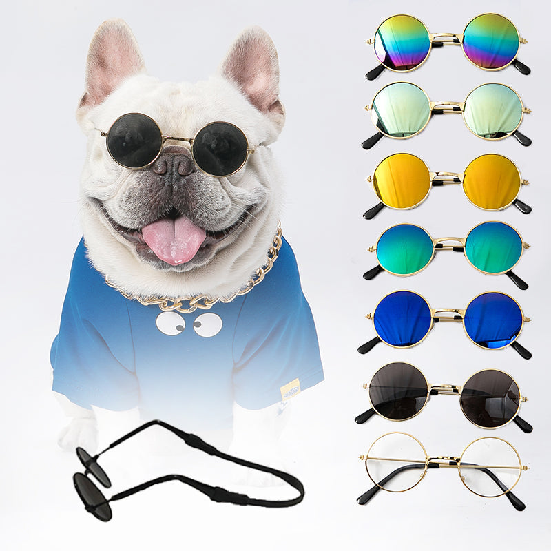 Dogs Cats Sunglasses