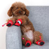 Load image into Gallery viewer, Waterproof Dog Boots Anti-Slip