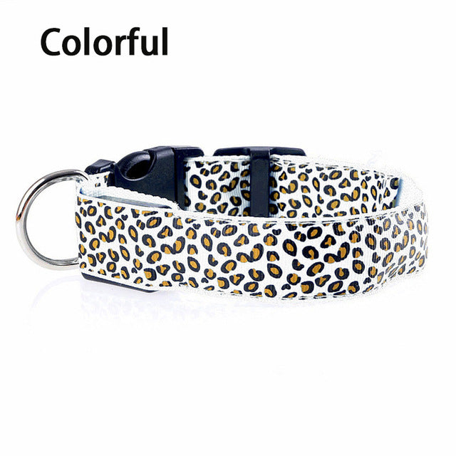 Leopard LED Dog Colla