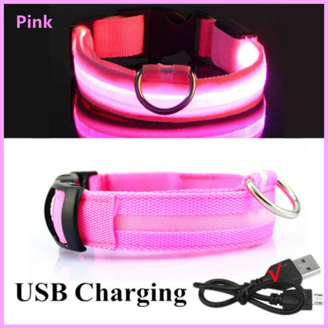 USB Rechargeable Luminous Collar